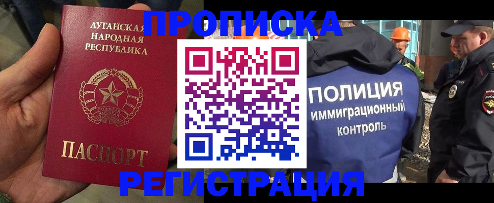 прописка поиск в Ельне