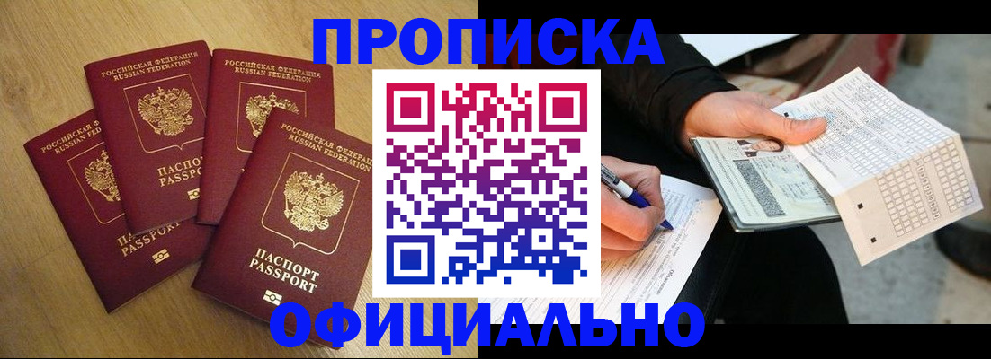 где прописаться в Ельне